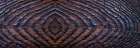 USA, Washington State, Seabeck. Panoramic of grain pattern on burnt driftwood. Coastal Print